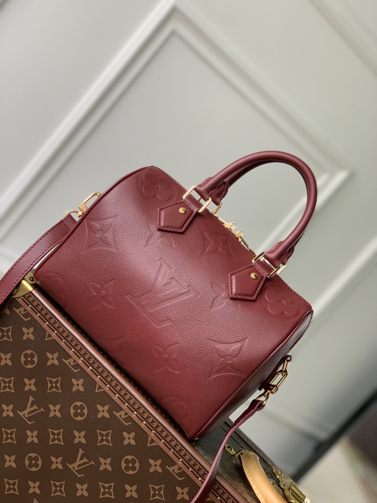 LV Speedy Bags